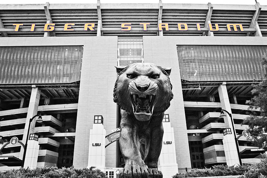 Football Photograph - Enter at Your Own Risk - select color by Scott Pellegrin