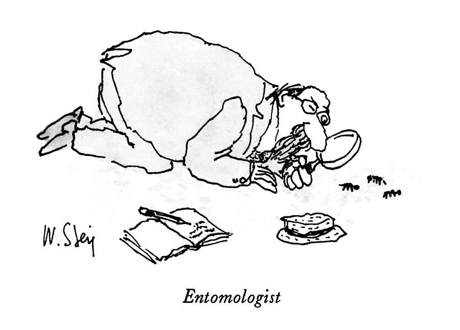 Entomologist Drawing by William Steig