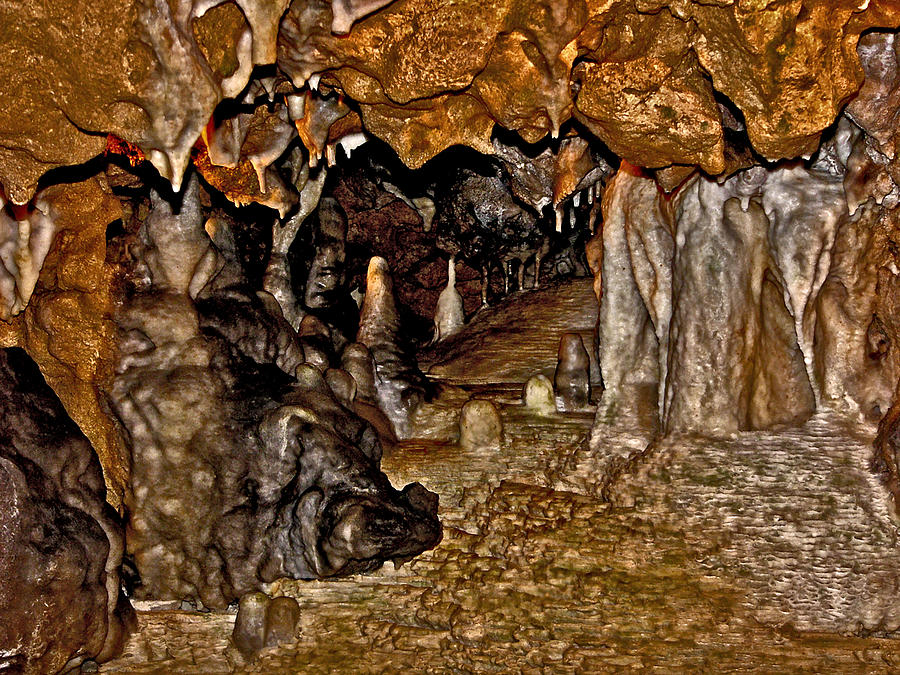 Entrance. Florida Caverns. Photograph by Chris  Kusik