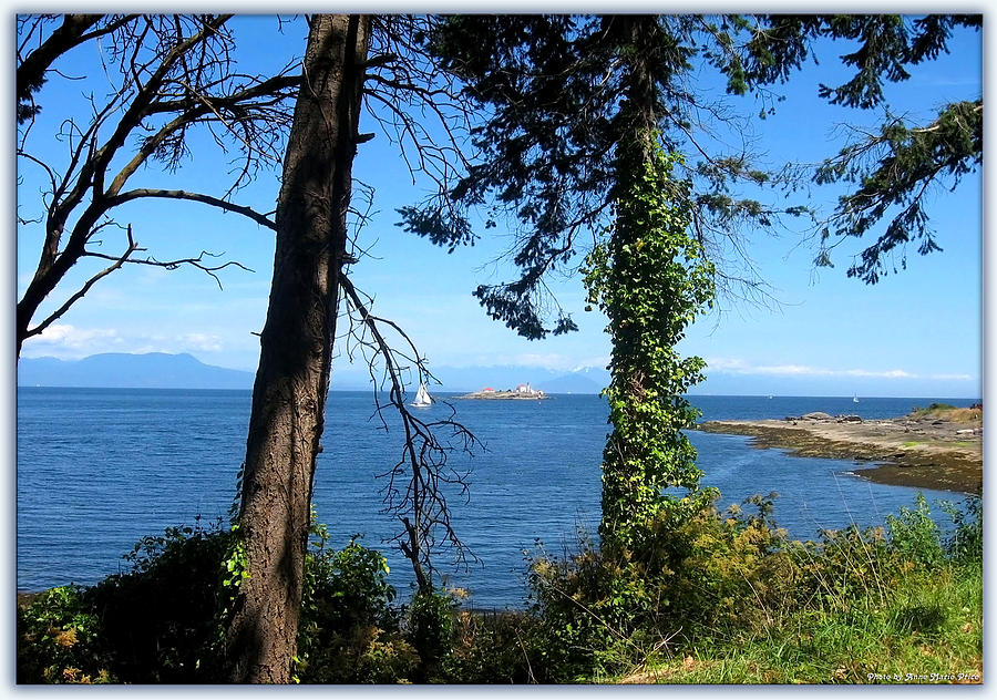 Entrance Island Photograph By Anne Marie Price Fine Art America