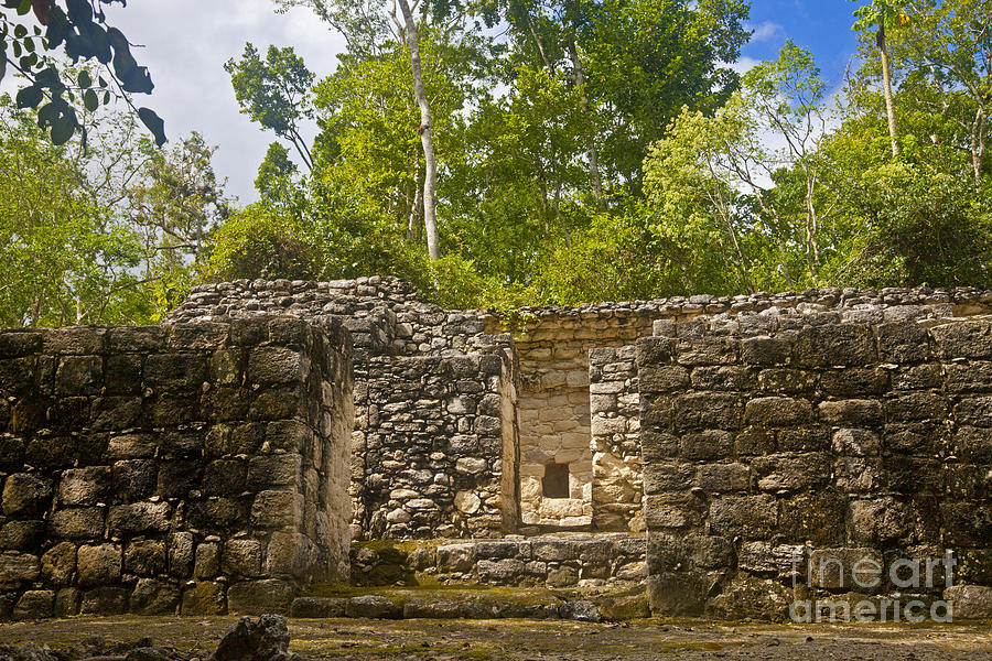 Entrance To Ruins At Calakmul Photograph by Ellen Thane