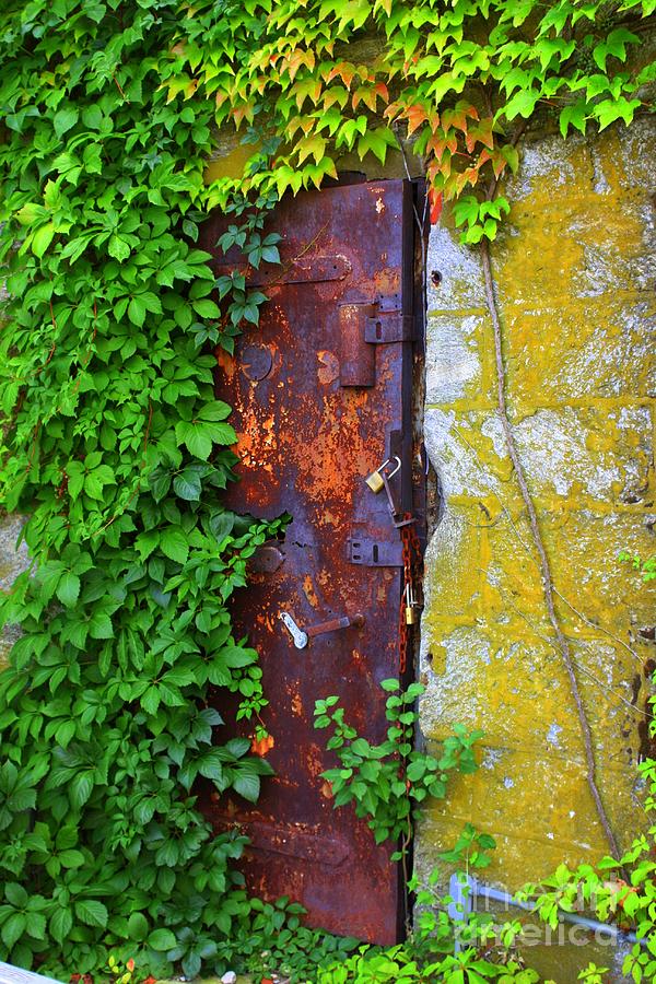 Entrance To The Secret Garden Photograph by Marcia Lee Jones