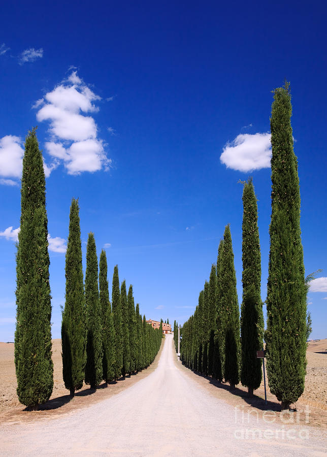Entrance to villa Tuscany - Italy Photograph by Matteo Colombo