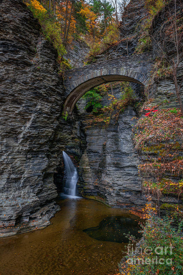 Entrance To Watkins Glen  Photograph by Michael Ver Sprill