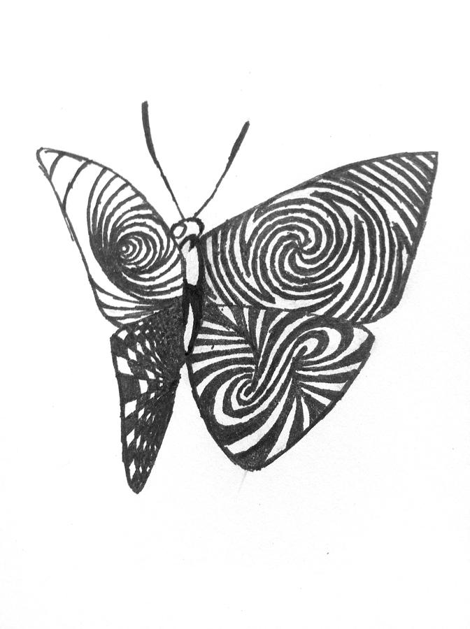 Butterfly Drawing - Entrancing  by Suliman Laota