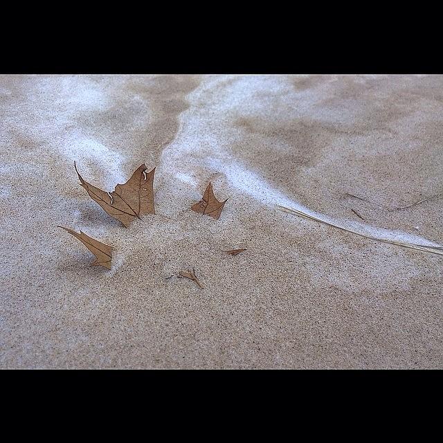 Entrapped In Sand & Snow. Taken On The Photograph by IKON Pennie