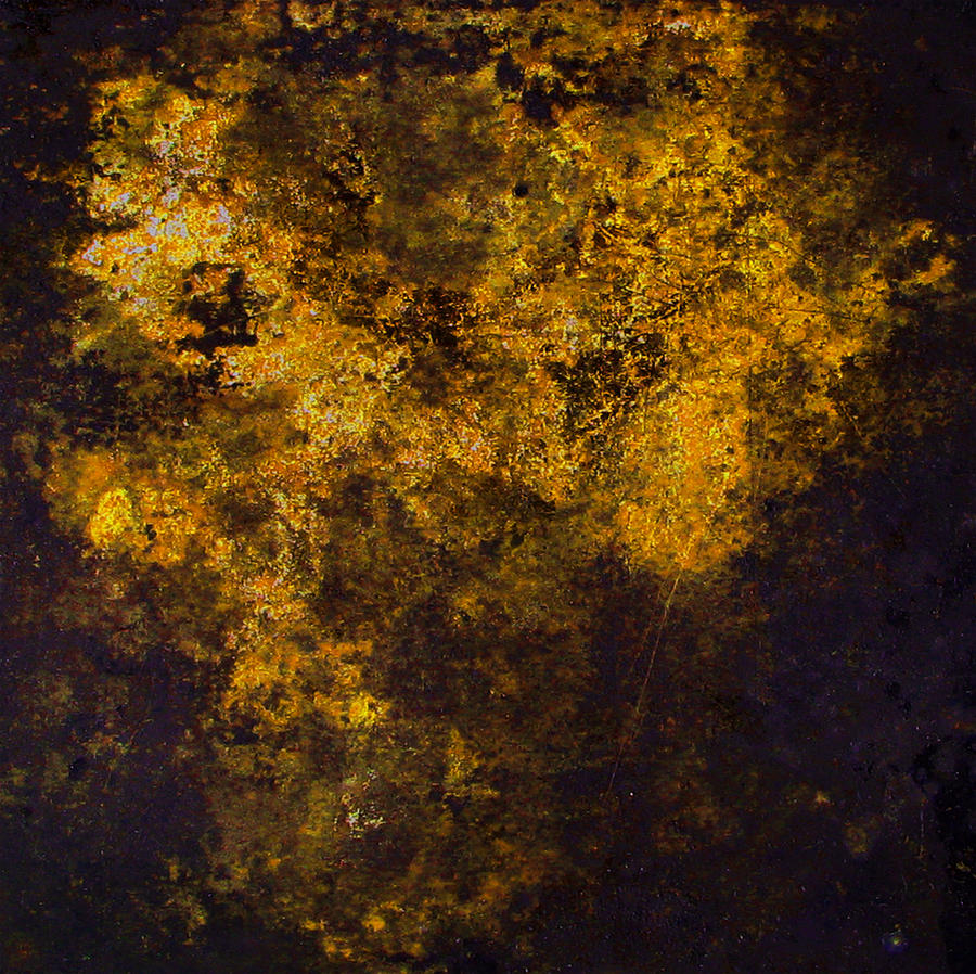 Entropy Gold Photograph by Stephanie Grant