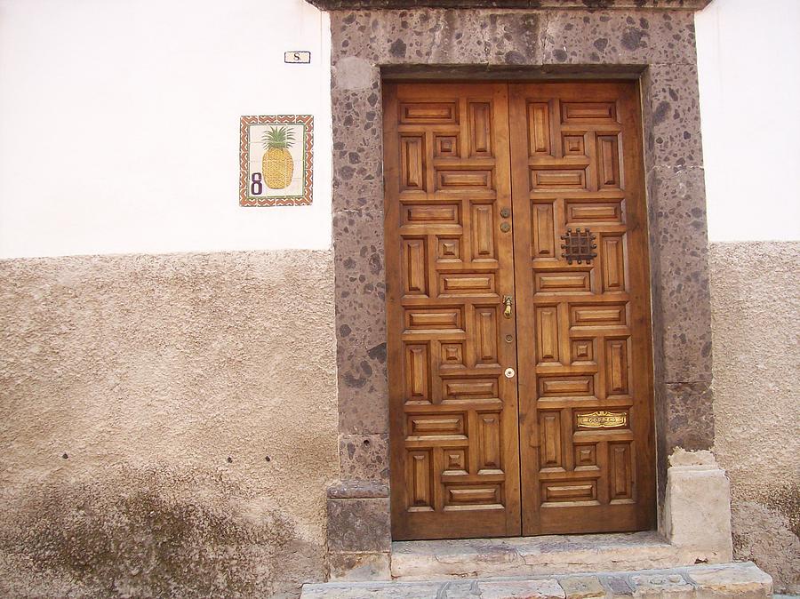 Entry Door Photograph by Lisa Weber - Fine Art America