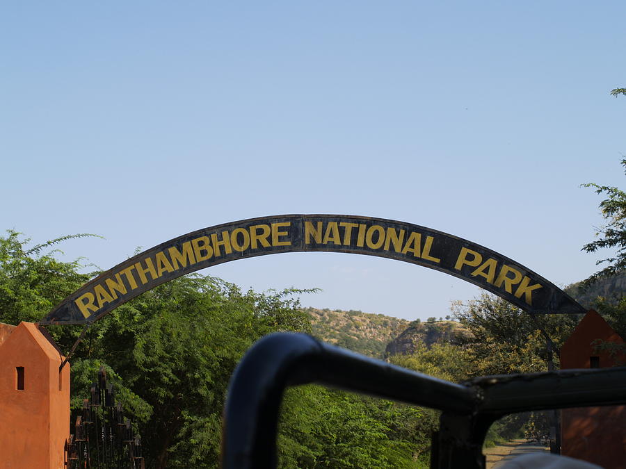 Entry Gate Photograph by Sanjay Pratap | Fine Art America