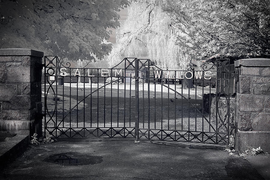 Salem Photograph - Entry to Salem Willows by Jeff Folger