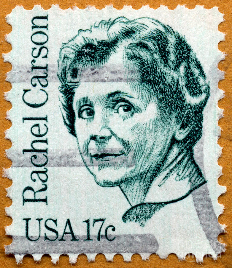 Environmentalist Rachel Carson Postage Stamp Photograph by Phil Cardamone