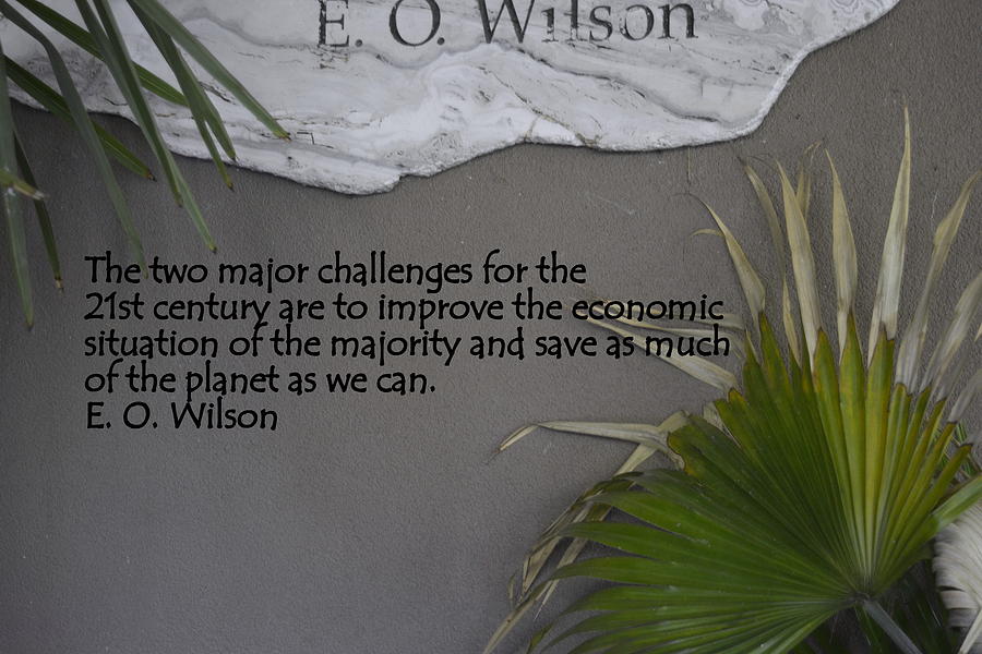 E.O. Wilson Quote Photograph by Kathy Barney