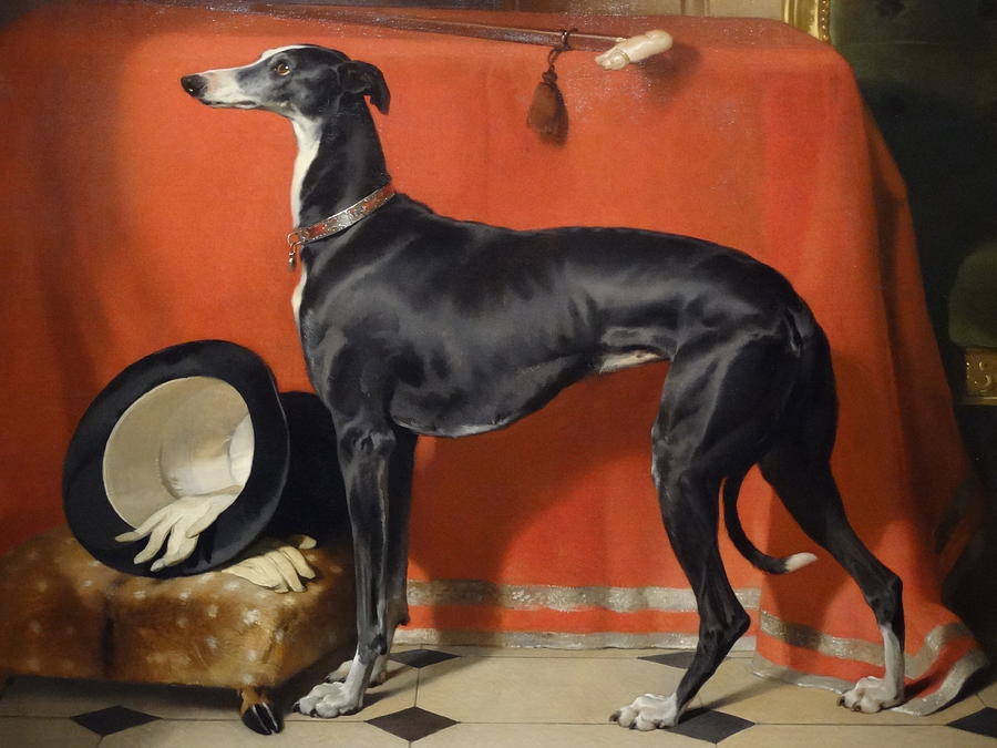 Dog Painting - Eos by Sir Edward Landseer