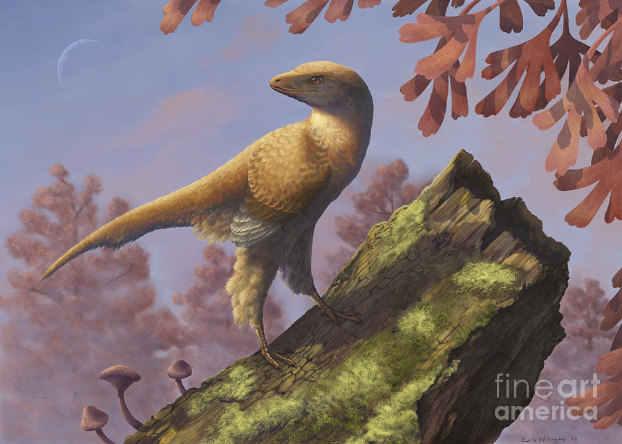Dinosaur Digital Art - Eosinopteryx Brevipenna Perched by Emily Willoughby
