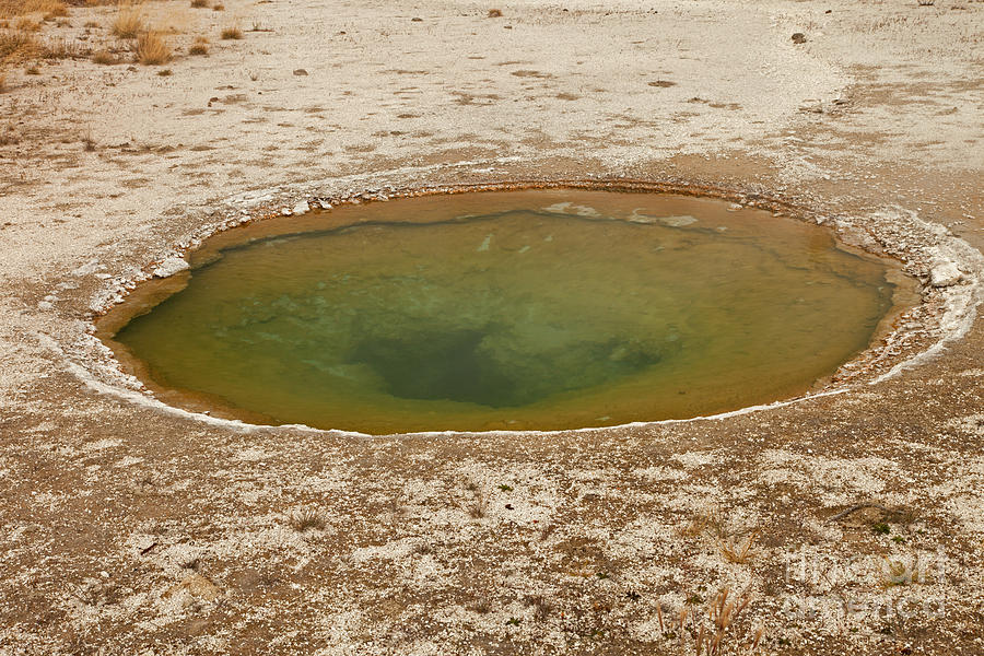 Ephedra Spring in West Thumb Geyser Basin Photograph by Fred Stearns