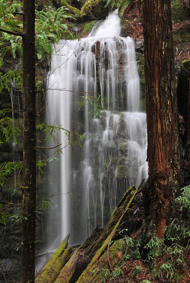 Ephemeral Falls Tributary To Gazos Creek Santa Cruz Mountains