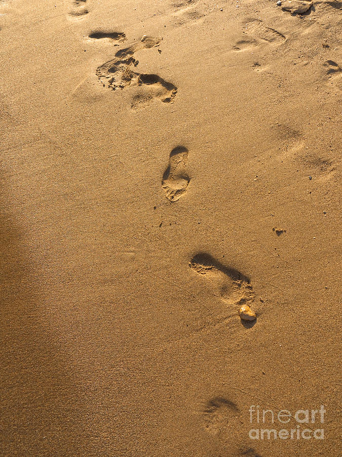 Ephemeral Footprints  Photograph by Brenda Kean