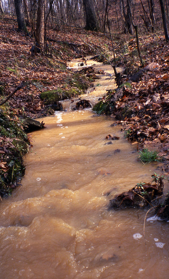 Ephemeral Stream From Flood Photograph by Carleton Ray