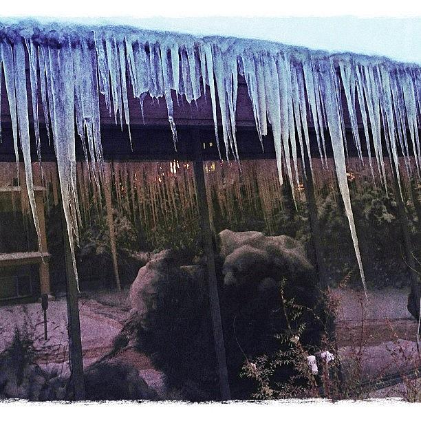 Winter Photograph - Epic Icicles by David Pasieka