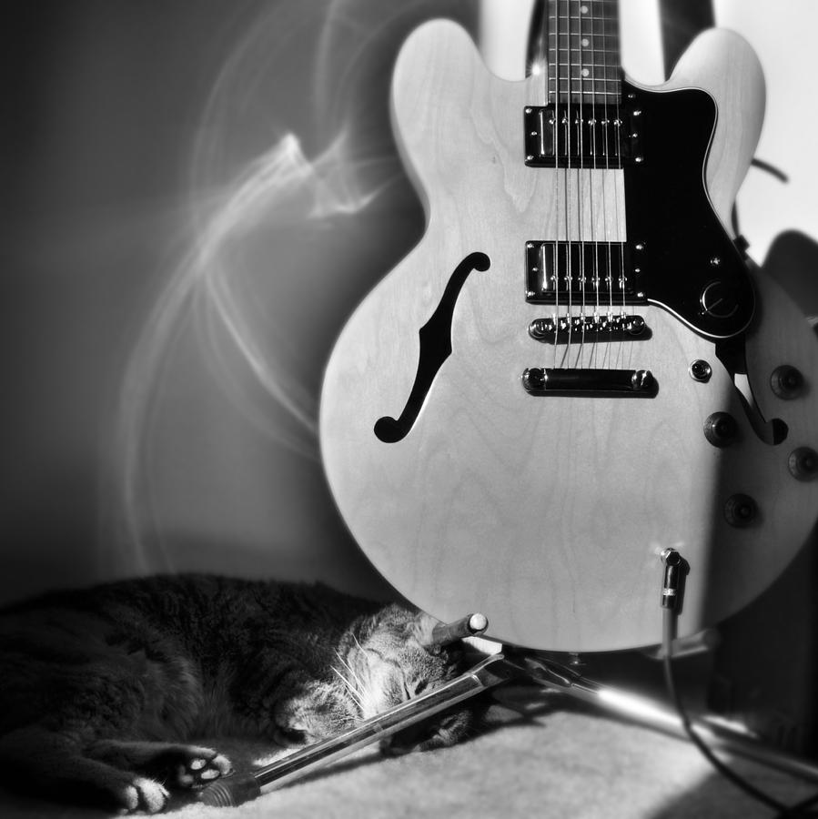 Cat Photograph - Epiphone Cat by Kurt Bonnell Cat Photograph - Epiphone Cat by Kurt Bonnell