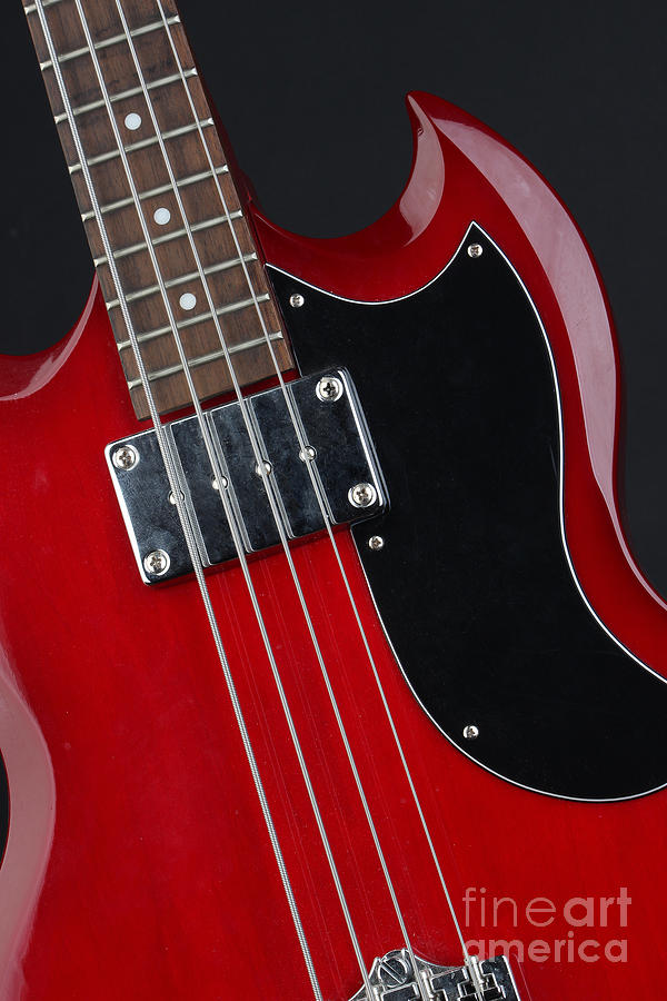 Music Photograph - Epiphone SG Bass-9193 by Gary Gingrich Galleries