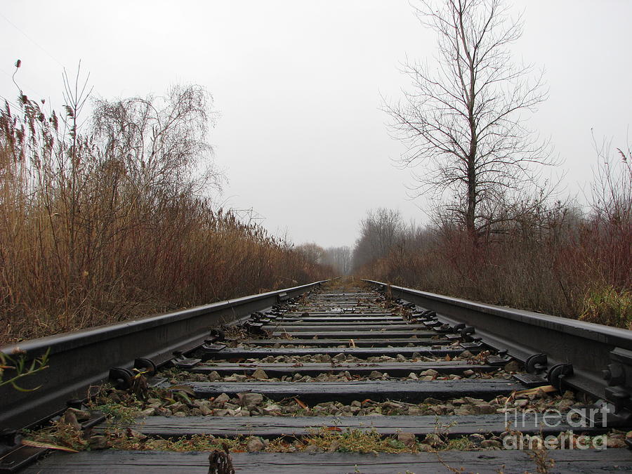 Empty Tracks Photograph by Michael Krek