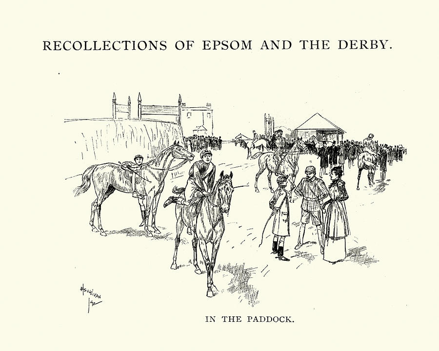 Epsom Derby horses in the Paddock, 1892 Drawing by Duncan1890
