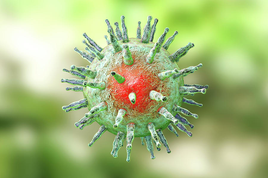 Epstein Barr Virus Photograph By Kateryna Konscience Photo Library 7336