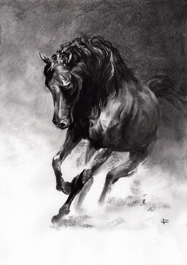 Black And White Drawing - Equine by Paul Davenport