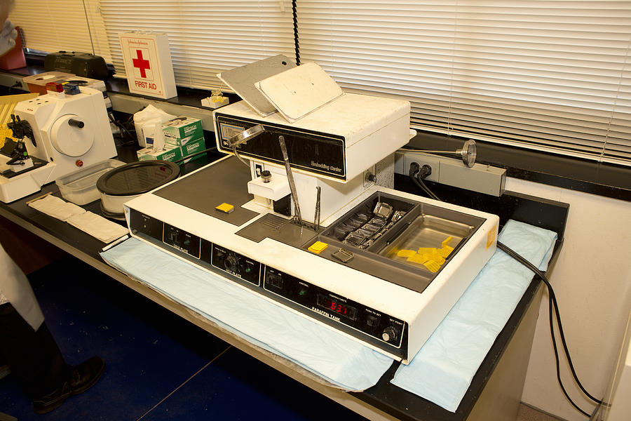 Equipment Used To Embed Brain Samples Photograph by Science Stock Photography