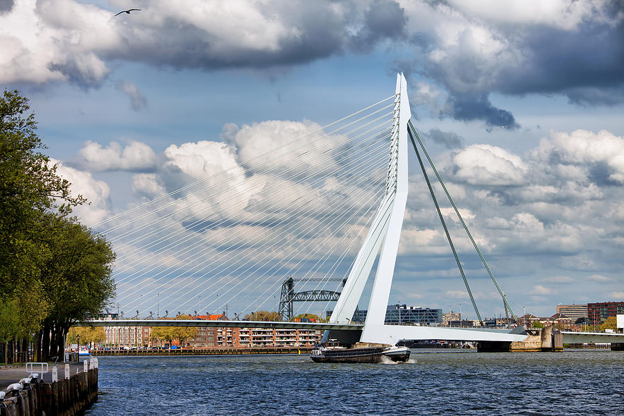 Erasmus Bridge in Rotterdam Photograph by Artur Bogacki