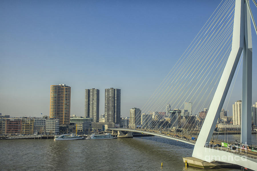 Erasmus bridge in Rotterdam the Netherlands Photograph by Patricia Hofmeester