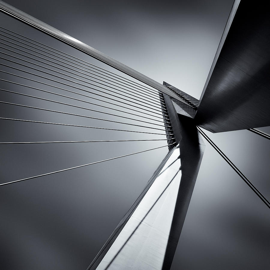 Architecture Photograph - Erasmusbrug by Dave Bowman