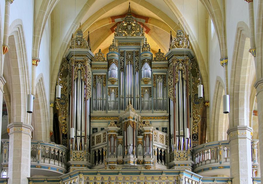 Erfurt pipe organ Photograph by Jenny Setchell