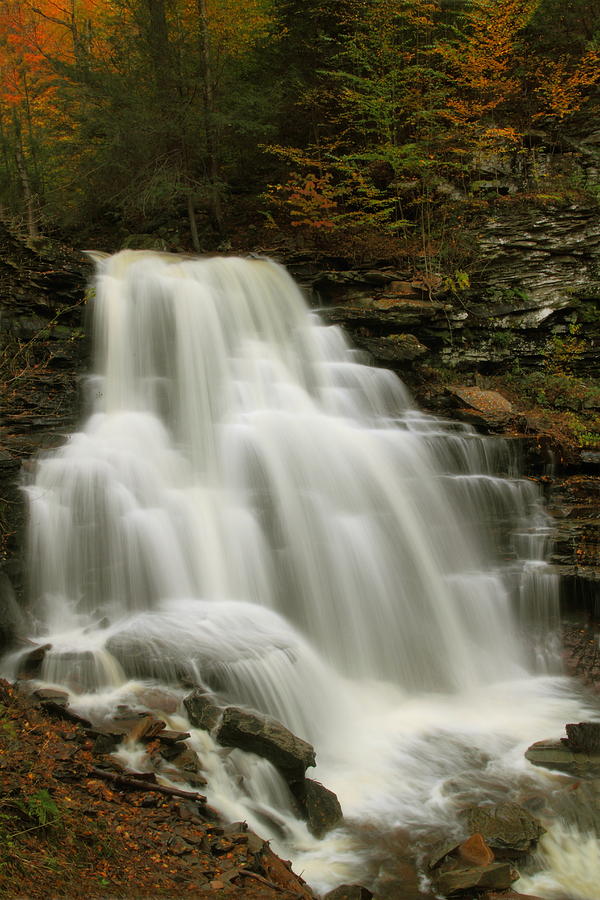 Erie Falls in autumn at Ricketts Glen State Park Photograph by Jetson Nguyen