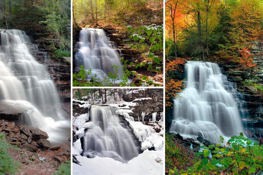 Erie Falls In Every Season Photograph by Gene Walls