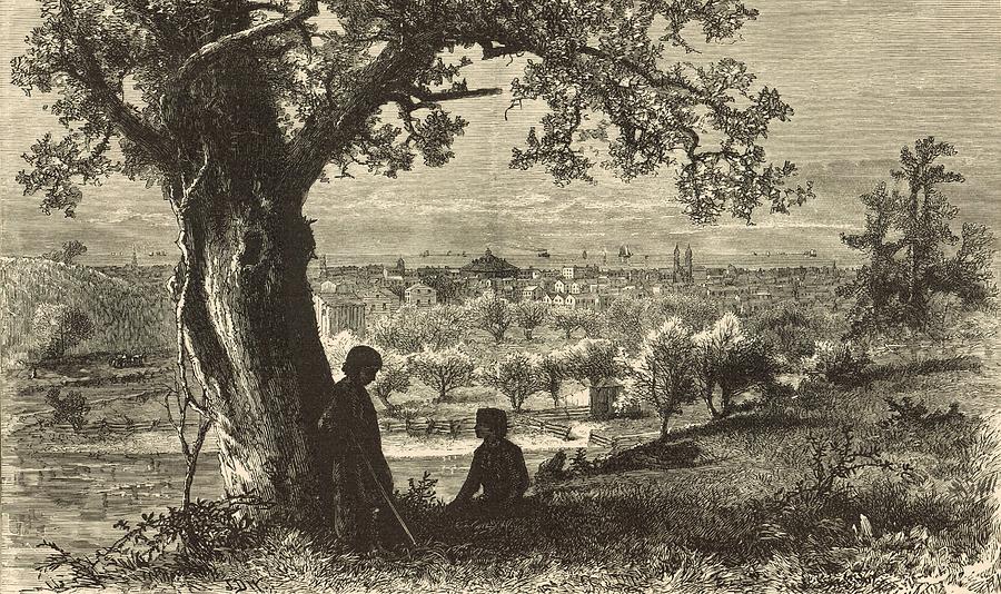 Vintage Painting - Erie from Federal Hill 1876 Engraving by Antique Engravings