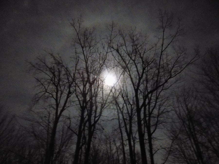 Erie Moon Photograph by Scott Aubin - Fine Art America