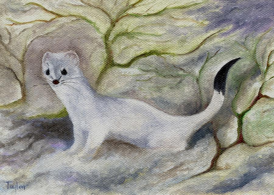 Ermine Painting by FT McKinstry