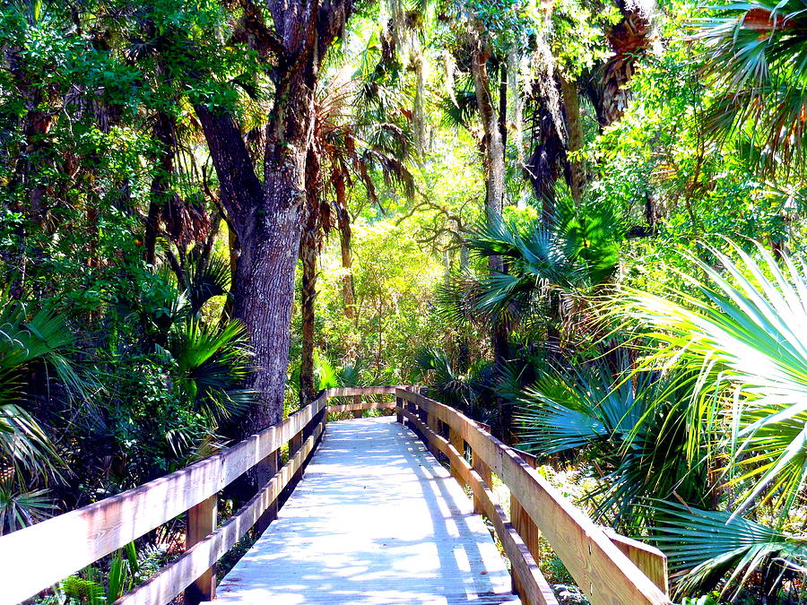 Erna Nixon Park Nature Walk Photograph by Kay Gilley