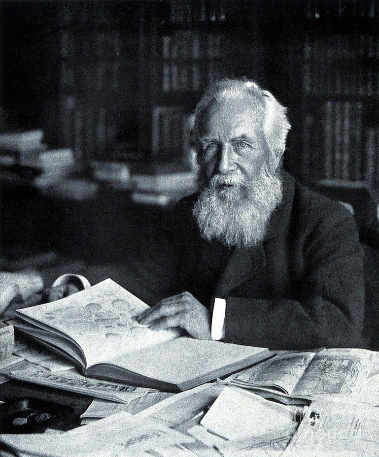 Ernst Haeckel Photograph - Ernst Haeckel Naturalist And Artist by Wellcome Images