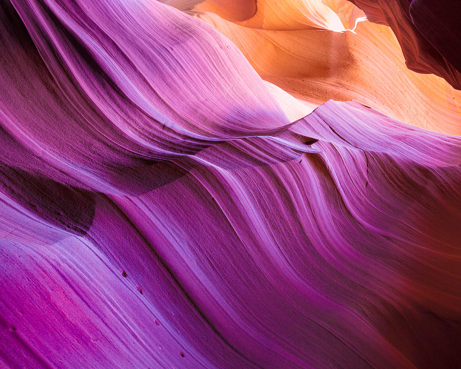 Magenta Waves by Brad Brizek Magenta Waves by Brad Brizek