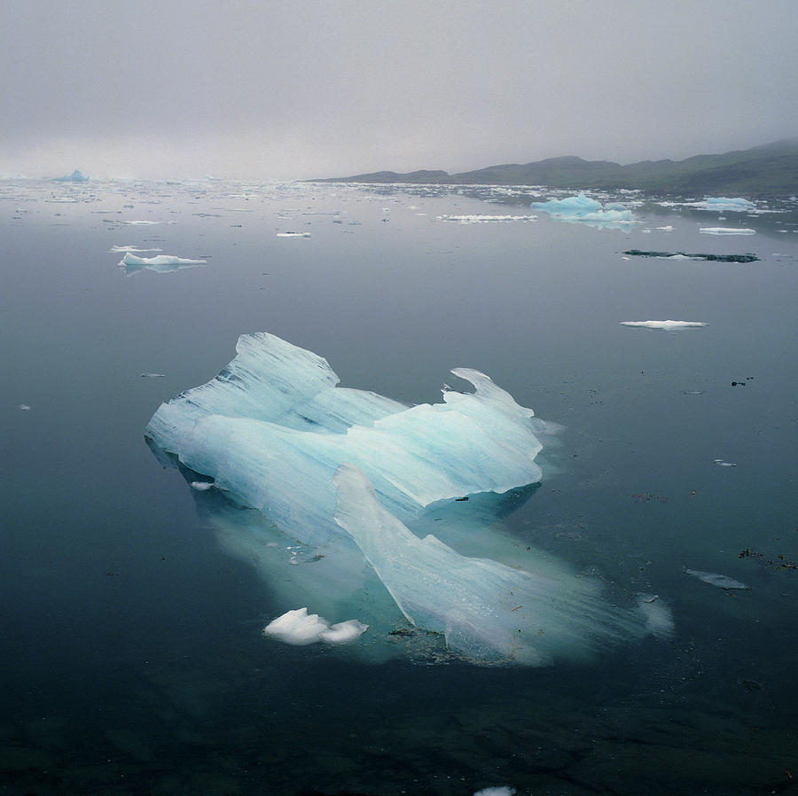 Eroded Icebergs In A Fjord Photograph by Simon Fraser/science Photo Library