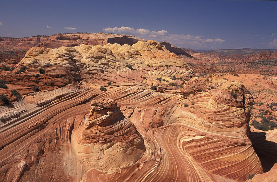 Eroded Navajo Sandstone Colorado Plateau Photograph by Mark Newman