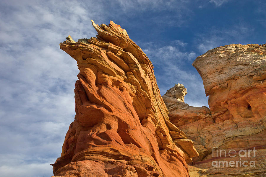 Eroded Sandstone Vermillion Cliffs  Photograph by Yva Momatiuk John Eastcott