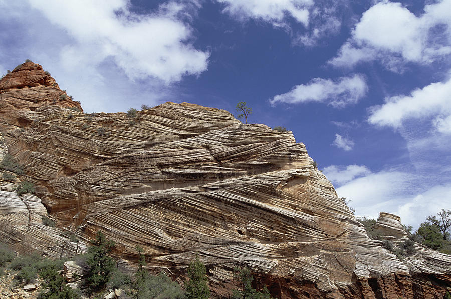 Eroded Sandstone Zion Np Utah Photograph by Konrad Wothe