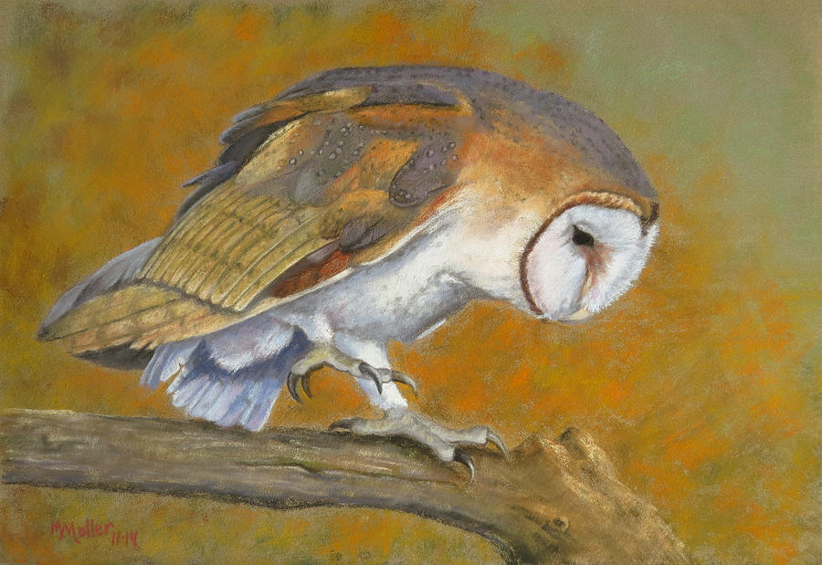 Owl Pastel - Eros the Barn Owl by Marcus Moller