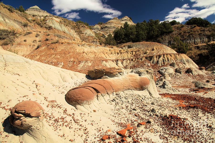 Us National Parks Photograph - Erosion Exposed by Adam Jewell