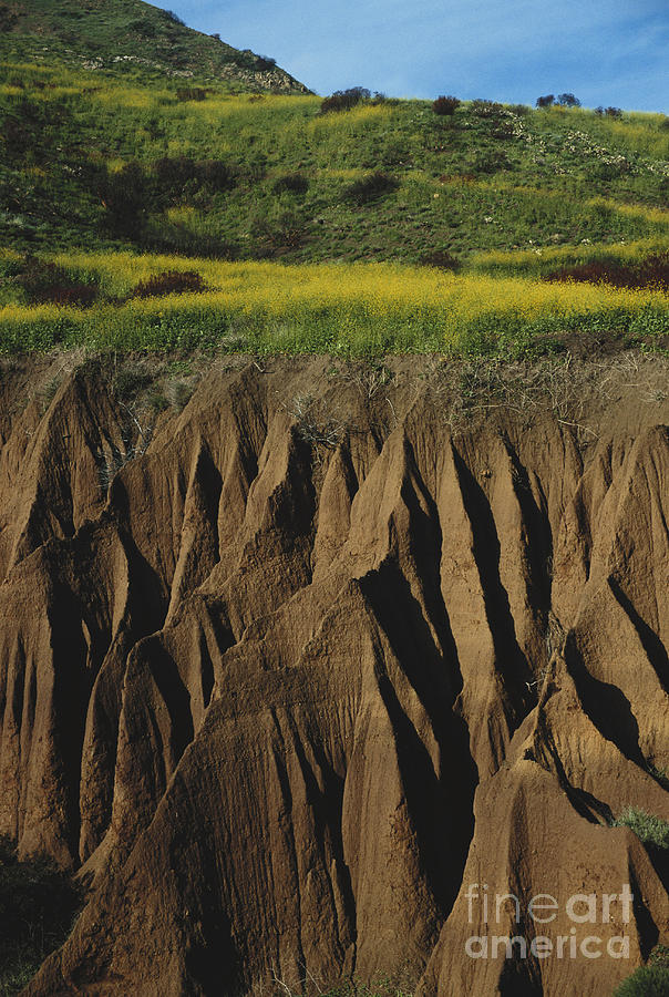 Erosion in Malibu California Photograph by Richard R Hansen