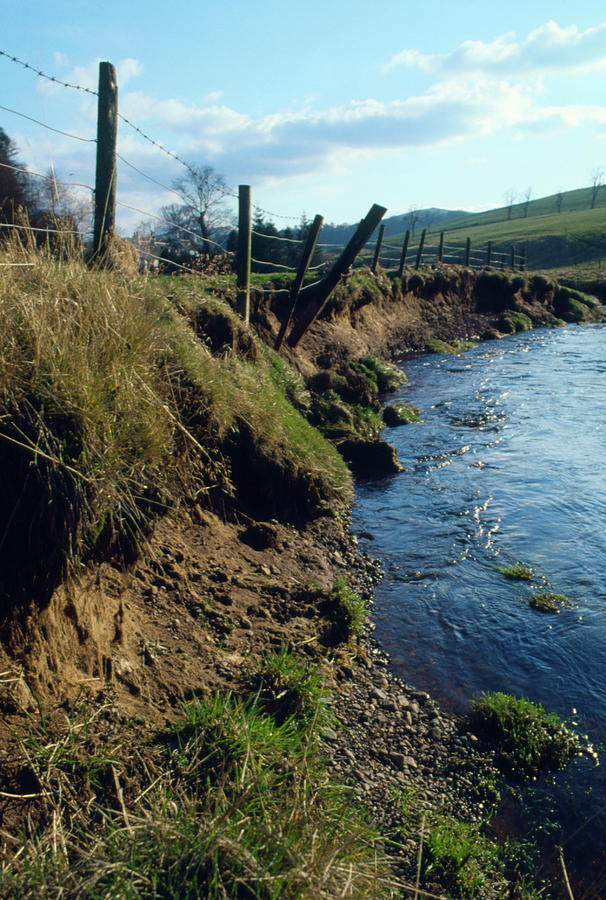 River Bank Photograph - Erosion Of Riverbank Caused By Flooding. by Mike Devlin/science Photo Library